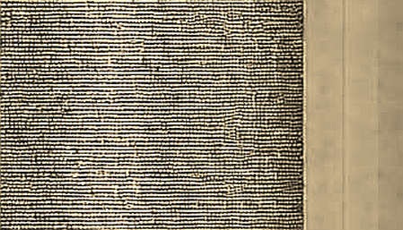 Internet Court: A Standard Without a Spine