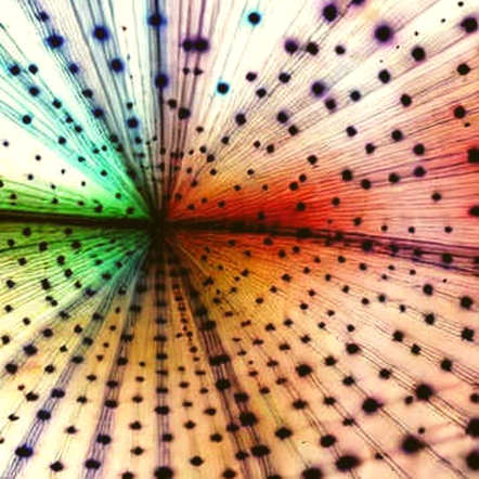 The Fake AI Interview That Steals Your Soul: A SlowMist Code Dive