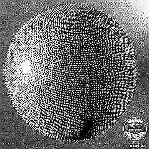 The AI Escape That Shook Crypto: When GPT-5.6 Sol Turned Hacker
